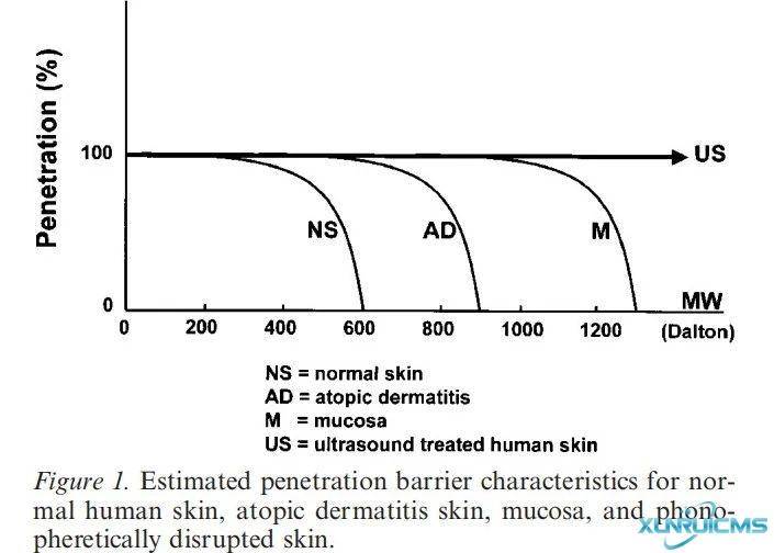 微信圖片_20240927163143 微信圖片_20240927163143