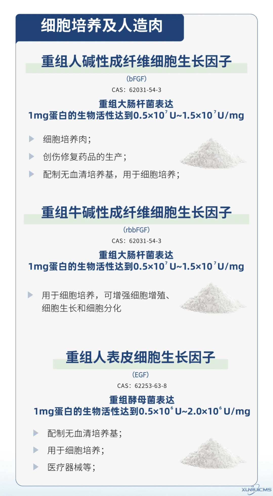 微信圖片_20241016163227 微信圖片_20241016163227