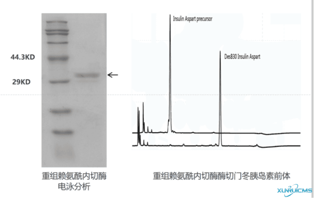 微信圖片_20241017165704 微信圖片_20241017165704