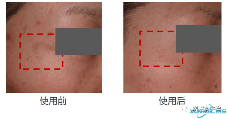 微信圖片_20241024135526 微信圖片_20241024135526