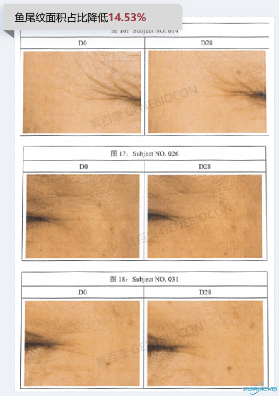 微信圖片_20241101103305(1)