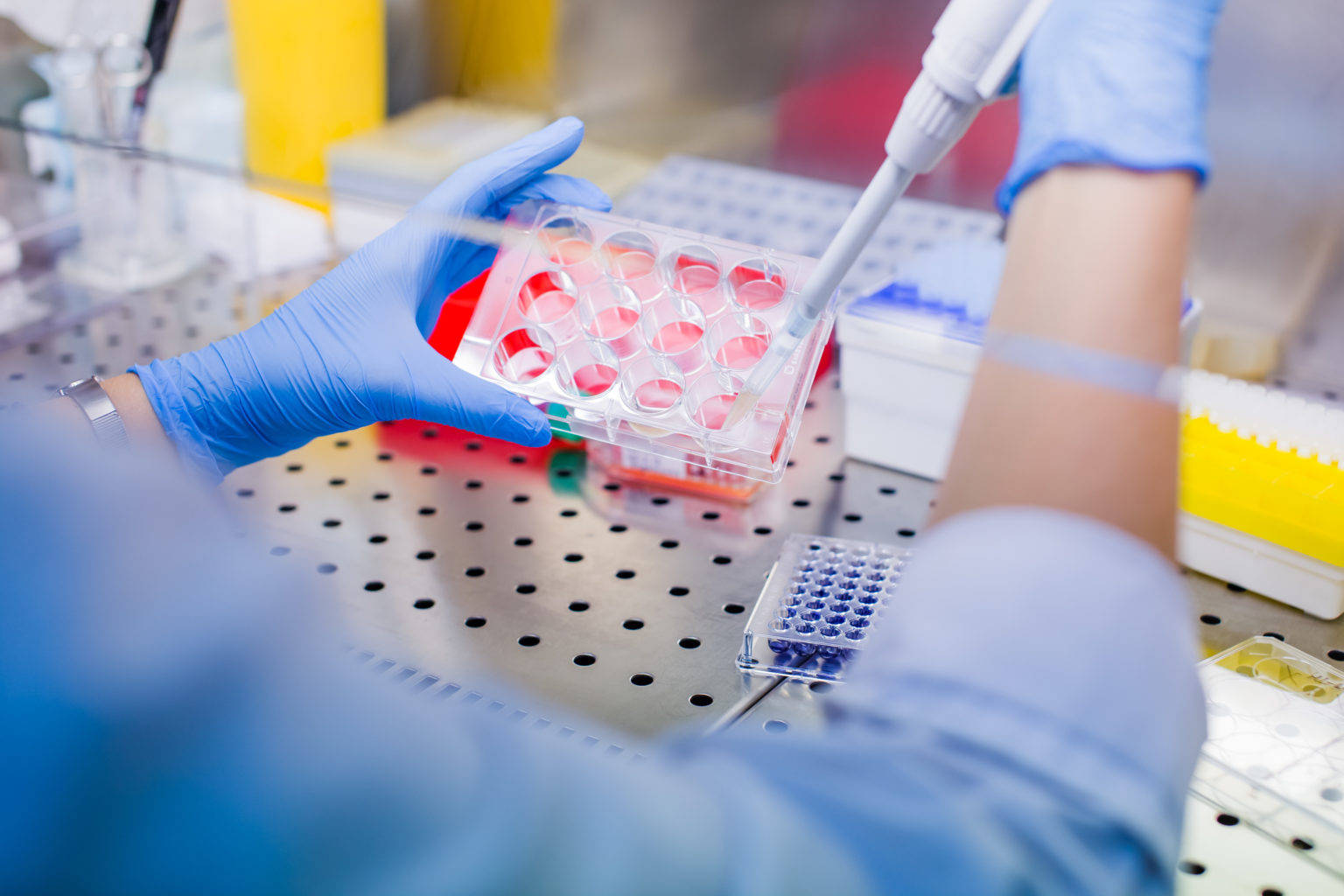 1c854f4f89c3302a21545732461f5c6c